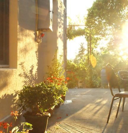 Merabi And Neli Guest House Makhinjauri Exterior photo