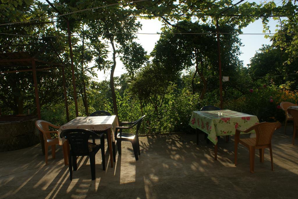 Merabi And Neli Guest House Makhinjauri Room photo